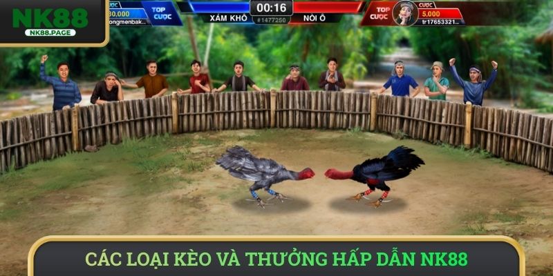 Các loại kèo và thưởng hấp dẫn NK88