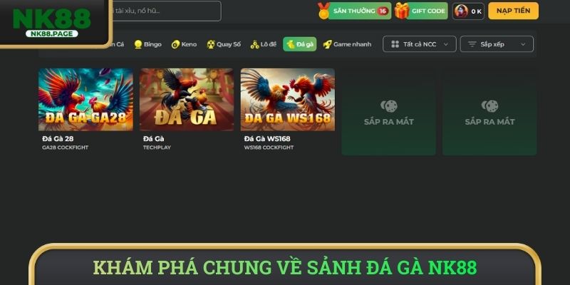 Khám phá chung về sảnh đá gà NK88